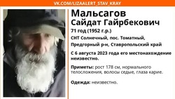 Высокого пенсионера с длинной седой бородой разыскивают на Ставрополье