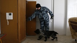 Из-за угрозы минирования в Кисловодске снова эвакуируют школьников и педагогов 