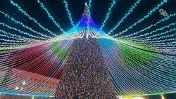 В Ставрополе зажгли огни на главной ёлке края — видеосюжет