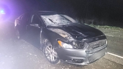 Пешеход погиб под колёсами иномарки в Кочубеевском округе