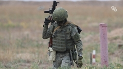 Выплату к госнаграде могут получить участники спецоперации на Ставрополье 