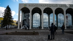 Дизайнер Артёмий Лебедев оценил скульптуры южных слонов в аэропорту Ставрополя