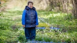 Специалист ставропольского ботсада назвала причины гибели декоративных растений