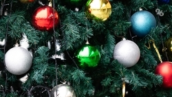 Новогодние гуляния пройдут в Кисловодске с 12 по 14 декабря 