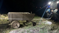 В ДТП на Ставрополье погиб 50-летний погонщик гужевой повозки