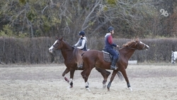  Конный крестный ход состоится в Железноводске 5 сентября  