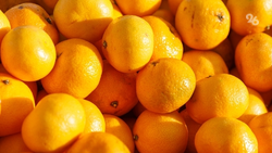 1 января в Невинномысске пройдёт «Мандариновый забег»