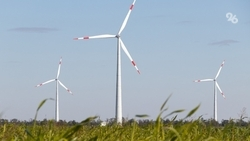 В Ставропольском аграрном университете создадут полигон по изучению зелёной энергетики