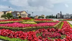 Более 5 тыс. цветочных композиций украсят Ставрополь ко Дню города
