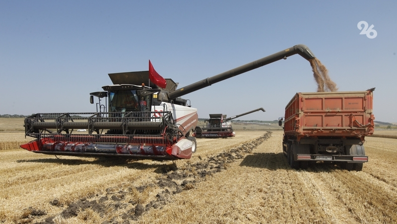 Политолог Семёнов: Курорты и АПК являются мощным фундаментом Ставрополья 