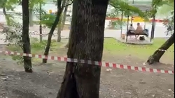 В Железноводске молния ударила в дерево