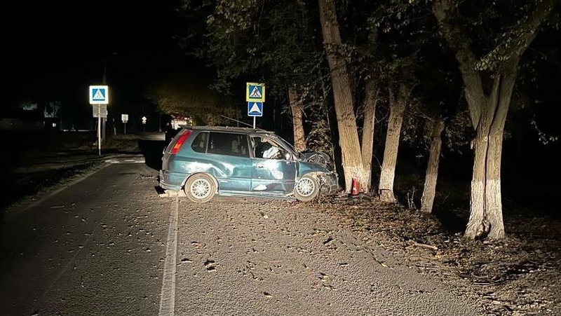 Пьяный водитель врезался в дерево в Зеленокумске 