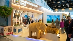 Ставрополье за день на площадках КИФ заключило восемь соглашений