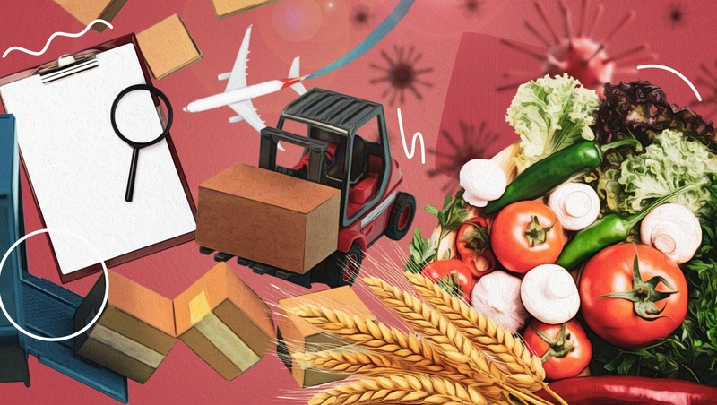 Без вредителей и вирусов: как на Ставрополье контролируют качество импортных овощей и фруктов