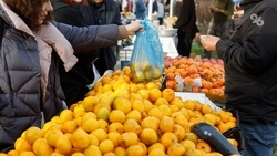 Первая зимняя ярмарка в Пятигорске состоится 13 декабря 