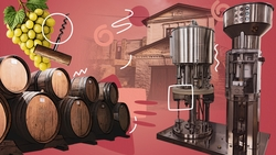 Могут «жениться» и «отдыхать»: тонкости виноделия в селе Прикумском на Ставрополье