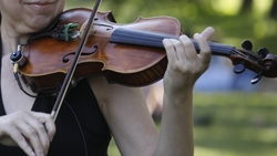 Программу для форума «Белая акация — 2024» готовит минкульт Ставрополья