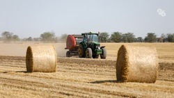 В пяти округах Ставрополья аграрии завершили уборку зерна