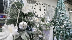 Каждый четвёртый ставрополец мечтает получить деньги в подарок на Новый год