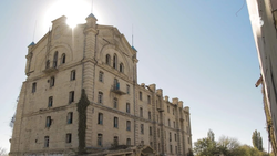 Специалисты проверят информацию о вырубках у мельницы Гулиева в Ставрополе