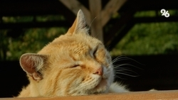 До +22 градусов тепла ждёт ставропольцев в начале недели