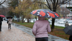 Жителей Ставрополья предупредили о дождях и сильном ветре до середины недели