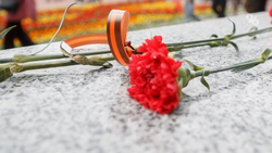 Семья ставропольчанки восстановила боевой путь прадеда по кадрам из концлагеря