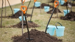 В Кисловодске в 2025 году провели более 200 экологических мероприятий