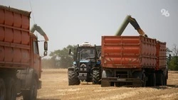 Аграрии Ставрополья получат компенсации за уже проведённые работы — минсельхоз