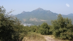 Проблему сухостоя на Машуке и Бештау минприроды Ставрополья обсудит с лесниками