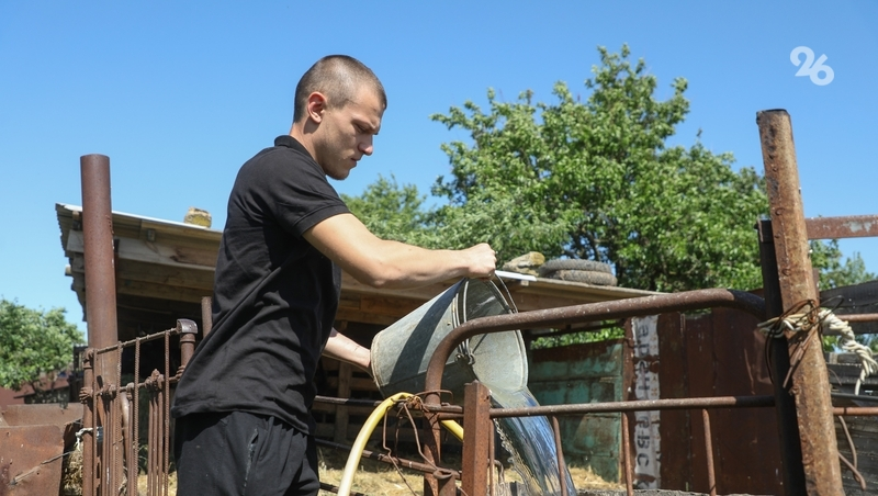 Специалисты отрасли АПК востребованы на Ставрополье 