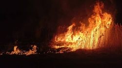 68 ландшафтных пожаров потушили пожарные Ставрополья за сутки