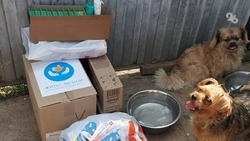 Ко Дню бездомных животных благотворительный фонд помог двум приютам на Ставрополье 
