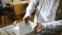 Ставропольцы смогут получить помощь волонтёров на избирательных участках