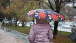 Гроза, град и ветер ожидаются в некоторых районах Ставрополья 3 и 4 апреля 