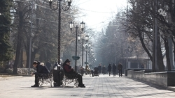 Большинство ставропольцев поддержали запрет рекламы тарологов