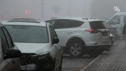 Более 40% водителей Юга России меняют шины в марте и хотят уложиться в 20 тыс. 