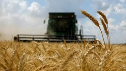 Хлеборобы Ипатовского округа Ставрополья намолотили 780 тысяч тонн зерна