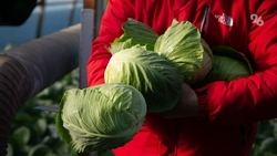 В ТПП Ставрополья рассказали о развитии семейного бизнеса в регионе