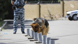Спецслужбы обезвреживают обломки БПЛА в Невинномысске