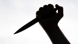 Следком не нашёл напавших в Грозном на журналистку Милашину и адвоката Немова 