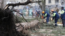Последствия ураганного ветра устраняют на Ставрополье