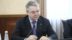 Глава Ставрополья мыслит системно, доверие к региону растёт — эксперт Еловский