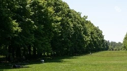 Видеокамеры для отслеживания лесных пожаров поступили в три округа Ставрополья