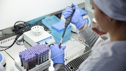 Задачи импортозамещения в животноводстве решают генетики Ставрополья