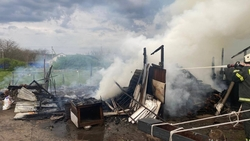 Пожарные спасли домашнюю живность из горящей хозпостройки в Грачёвском округе 