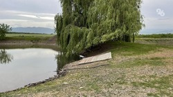 Шестилетний ребёнок утонул в пруду на окраине чеченского села