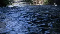 Прокуратура потребовала очистить водохранилище в Советском округе от заиления
