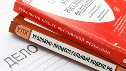 Пару задержали за ограбление 82-летней пенсионерки в Ставрополе