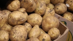 Картошка на Ставрополье за неделю подорожала ещё на 20% 